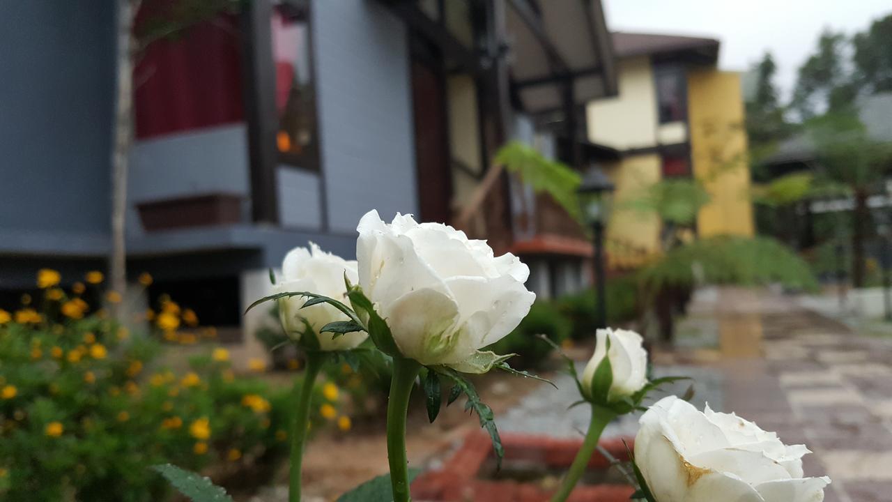 Casa Loma Cameron Highlands Villa Exterior foto