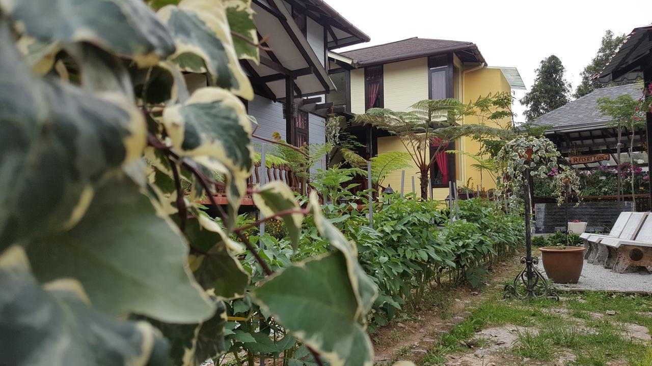 Casa Loma Cameron Highlands Villa Exterior foto